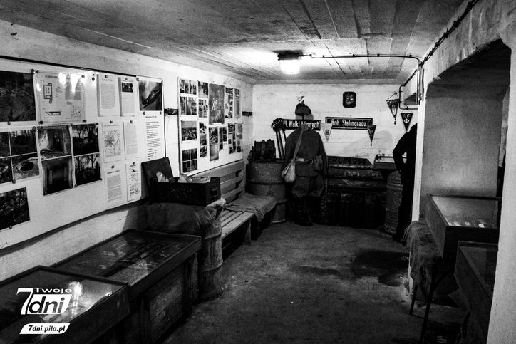 schron, Piła, wystawa