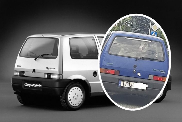 Fiat Cinquecento raczej nie jest pierwszym autem, jakie przychodzi do głowy, gdy chcemy przewieźć cielaka