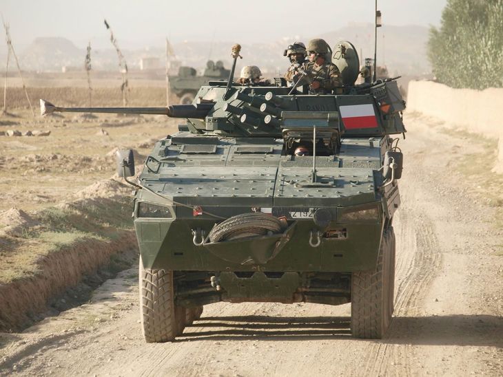 Rosomak, Langusta, Å»bik i Humvee - pojazdy Wojska Polskiego | Autokult.pl