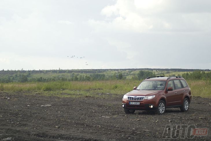 Subaru Forester leśnik na służbie [test autokult.pl