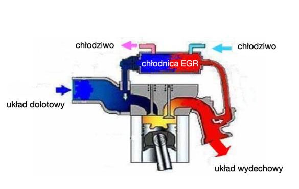 Układy Recyrkulacji Spalin EGR | Autokult.pl