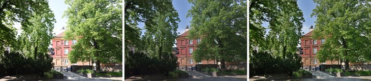 Lewe zdjęcie wykonałem bez żadnego wspomagania. Przy środkowym skorzystałem ze stylu Flat i Active D-Lighting na poziomie Low. Każde z nich daje za słabe efekty, ale łącznie są ok. Plus korekcja – na minus rzecz jasna – tu -1,3 EV. Nie podciągnąłem kolorów, żeby zaprezentować działanie owego Flat, ale warto by to zrobić. Prawe zdjęcie to HDR w ustawieniu High. Trochę za mocno kontrastuje on „krawędzie” (np. granice liści i nieba), ale daje efektowne, żywe zdjęcia prosto z aparatu. Korekcja? Oczywiście, tu także -1,3 EV.
© Paweł Baldwin