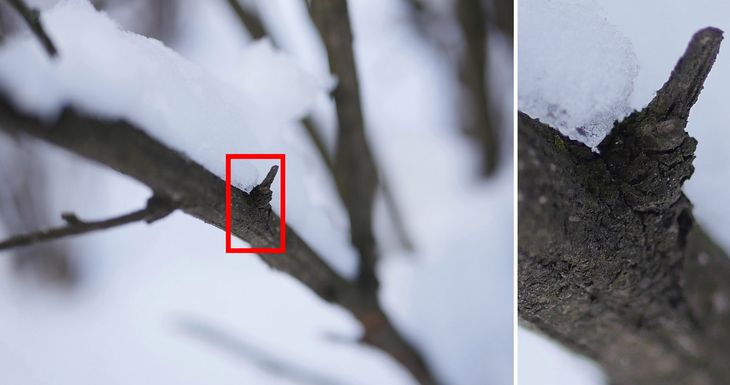 To zdjęcie wykonałem na potrzeby testu osiowej aberracji chromatycznej obiektywu 25 mm f/1,7. Widać, że ostrość została ustawiona za bardzo z przodu. W takich sytuacjach warto pamiętać, że oprócz typowej dla Lumixów, łatwo dostępnej regulacji pola AF, mamy też „punktowe” pole Pinpoint. W tym wypadku bardzo by się przydało. A ja nawet o nim nie pomyślałem, uznając że najmniejsza standardowa ramka zapewni w zupełności wystarczającą precyzję.
© Paweł Baldwin