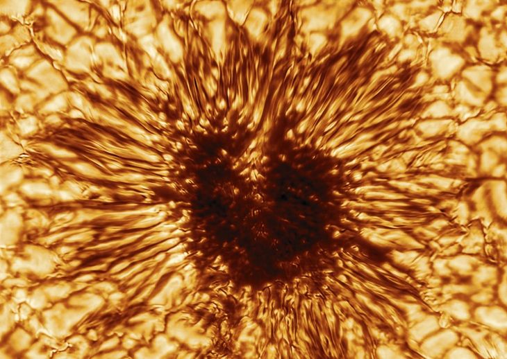 Plama słoneczna w obiektywie teleskopu DKIST