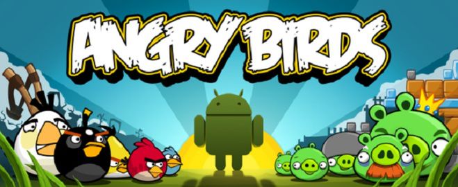 birds