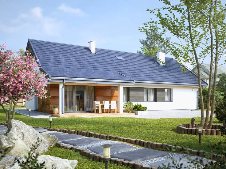 Awokado 3 BSA2268_2.jpg