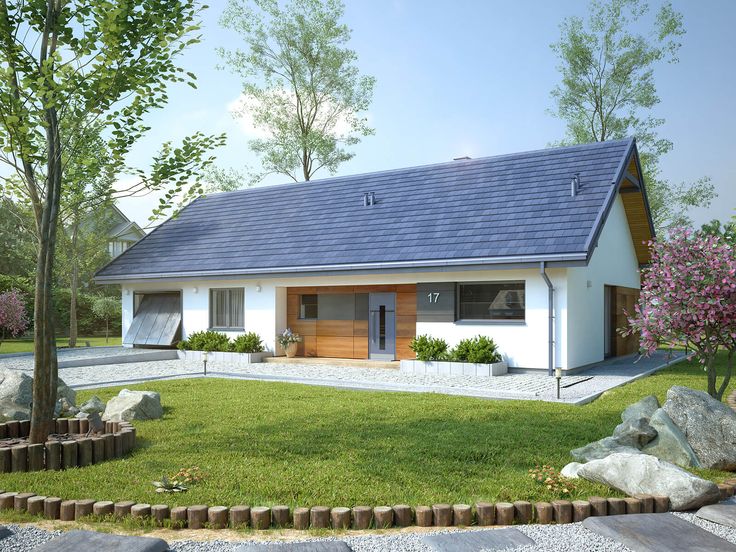 Awokado 3 BSA2268_3.jpg