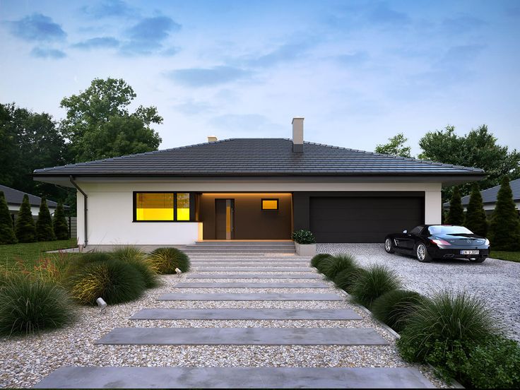 Irysek 6 BSE1191.jpeg