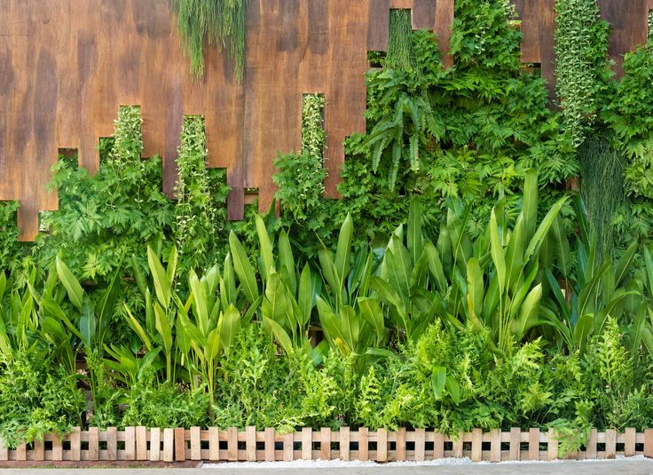 aranżacja ogrodu przy płocie_7.jpg