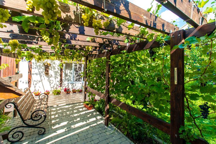 pergola ogrodowa.jpg