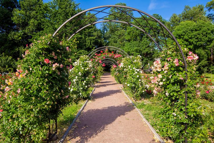 pergola ogrodowa metalowa