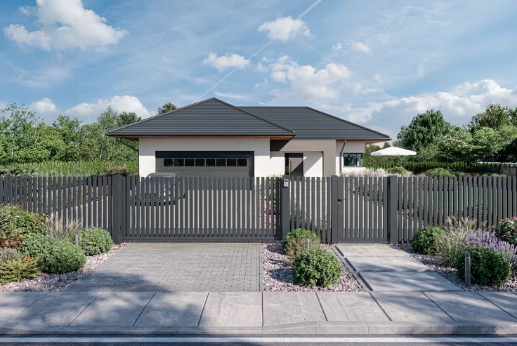 variante vectoro real