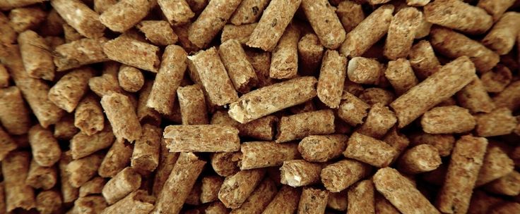 Jak rozpoznać dobry pellet?
