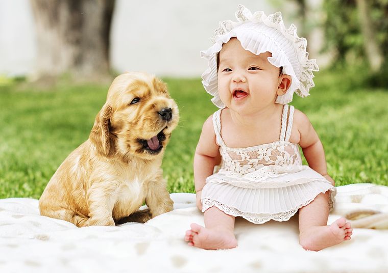 Pies i dziecko 