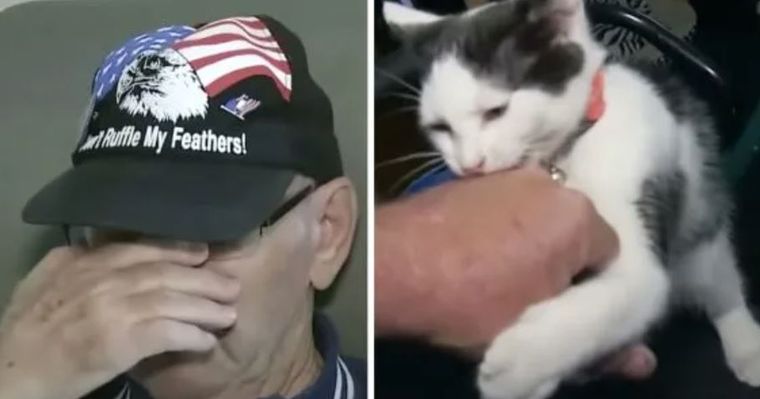 kot uratował mężczyznę