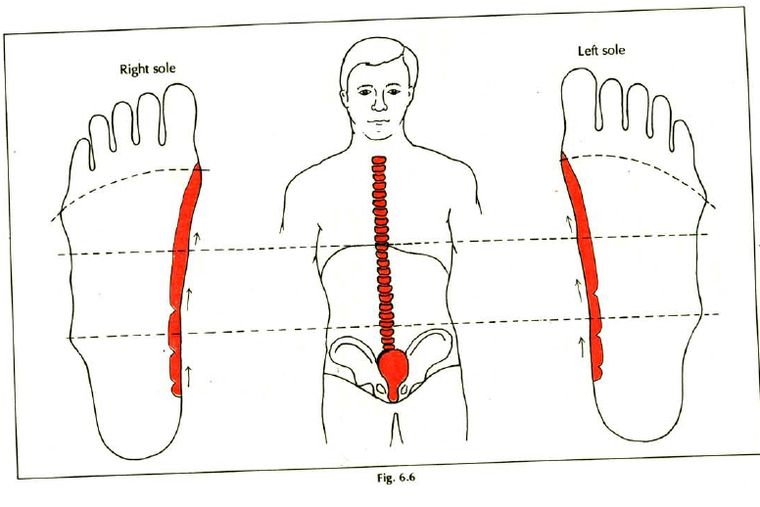 refleksologia stóp, a kręgosłup