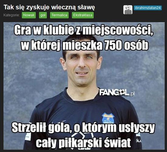 Fot. fangol.pl