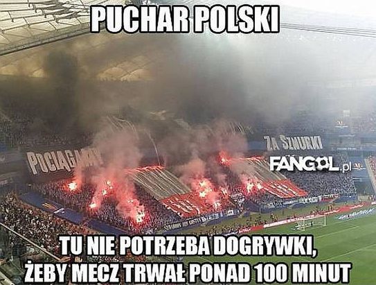 Fot. fangol.pl