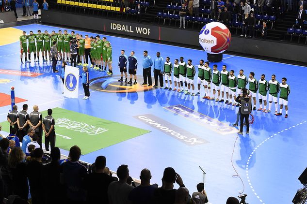 Materiały prasowe / FRANCE HANDBALL 2017