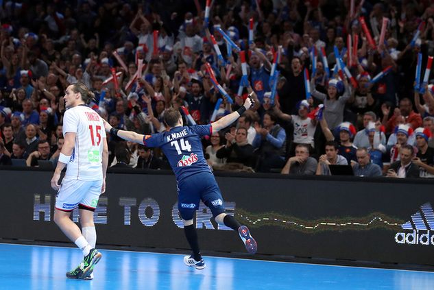 Materiały prasowe / FRANCE HANDBALL 2017