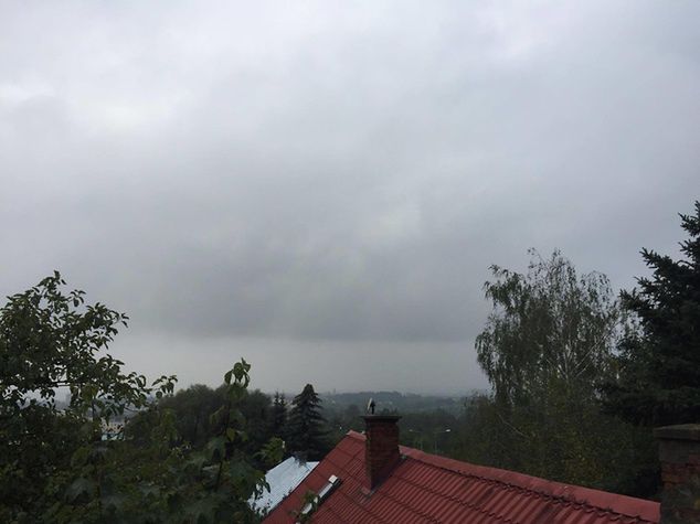 Tarnów - stan na godzinę 10:35