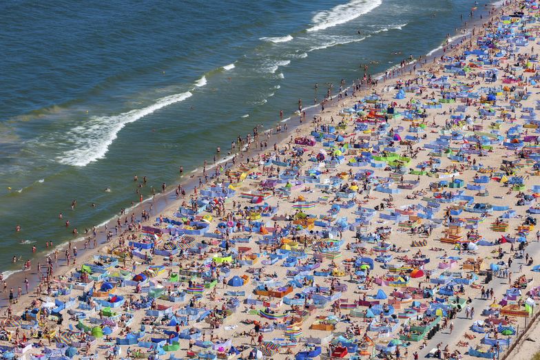 [Obrazek: 214da198-064b-4940-ab38-be683b20951d]