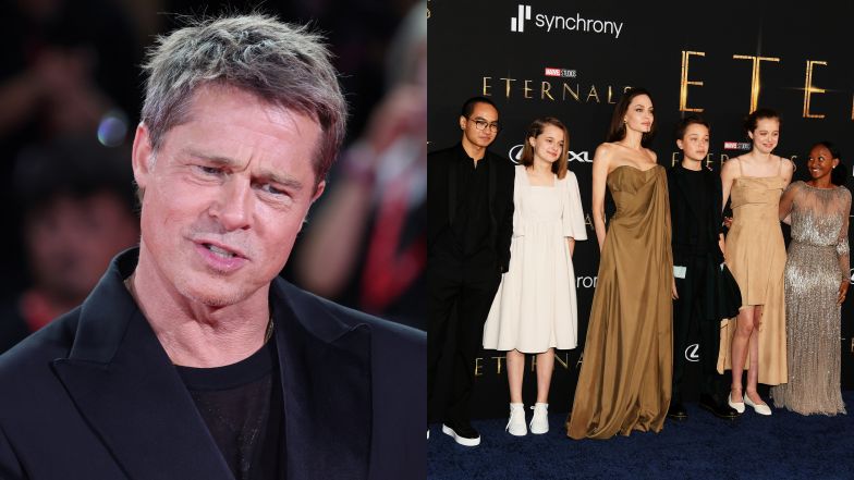 Brad Pitt struggles with lack of access to his children