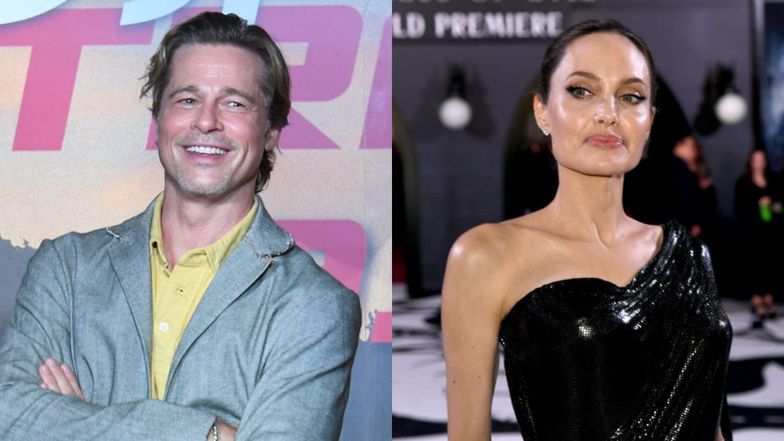 Brad Pitt, Angelina Jolie's French winery battle back in court