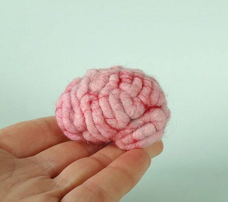 Źródło: https://www.instagram.com/thebrainlab/