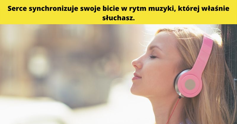 źródło: canva