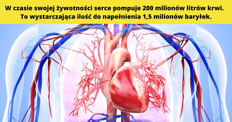 źródło: canva