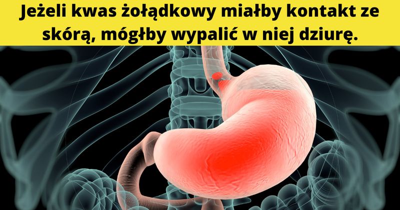 źródło: canva