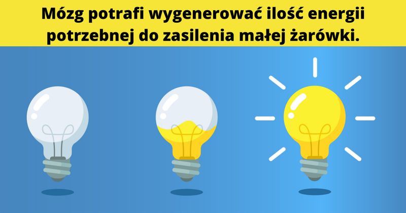 źródło: freepik