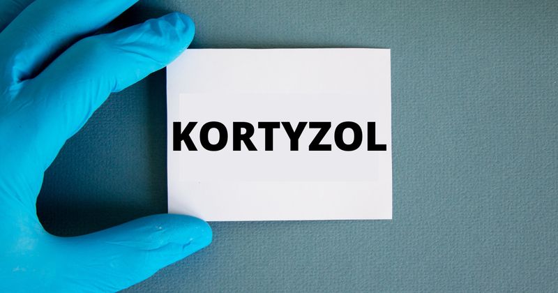 źródło: canva