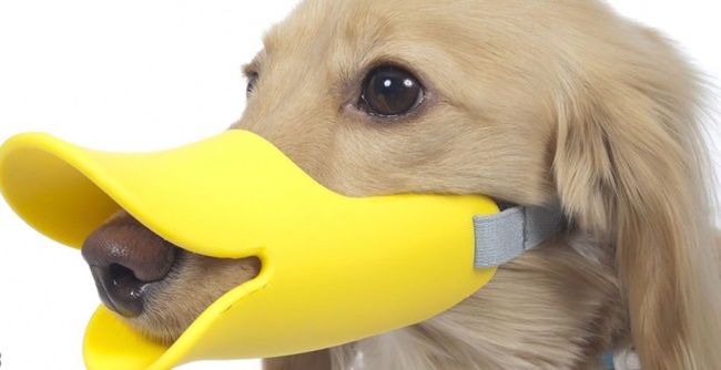 <a href=