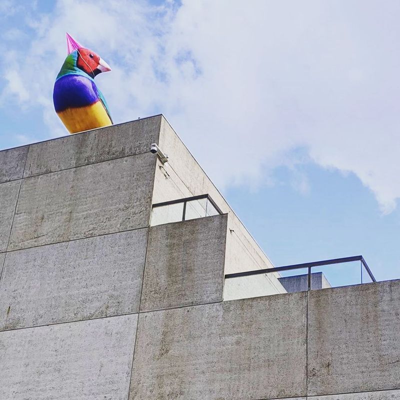 studioflorentijnhofman/instagram