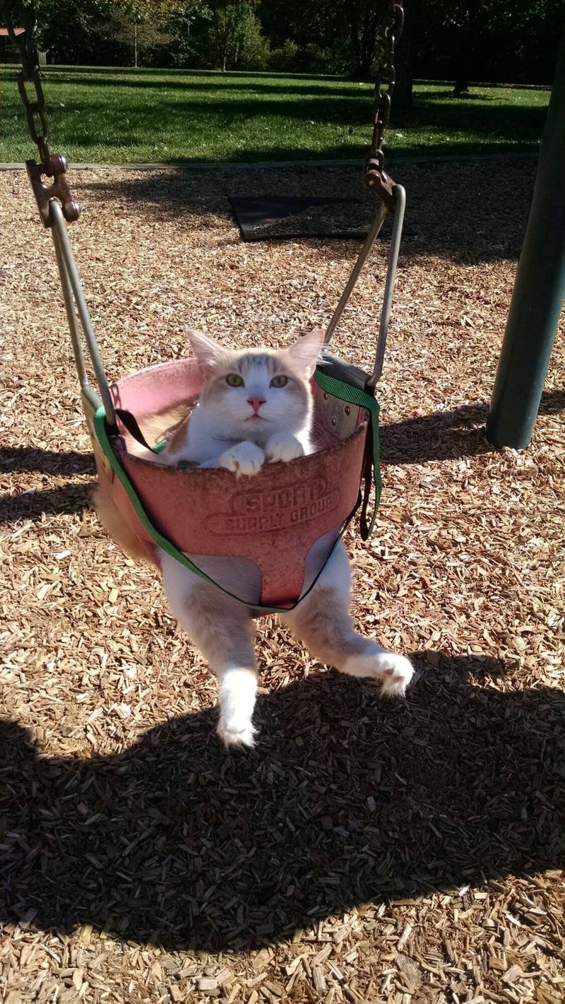 <a href=