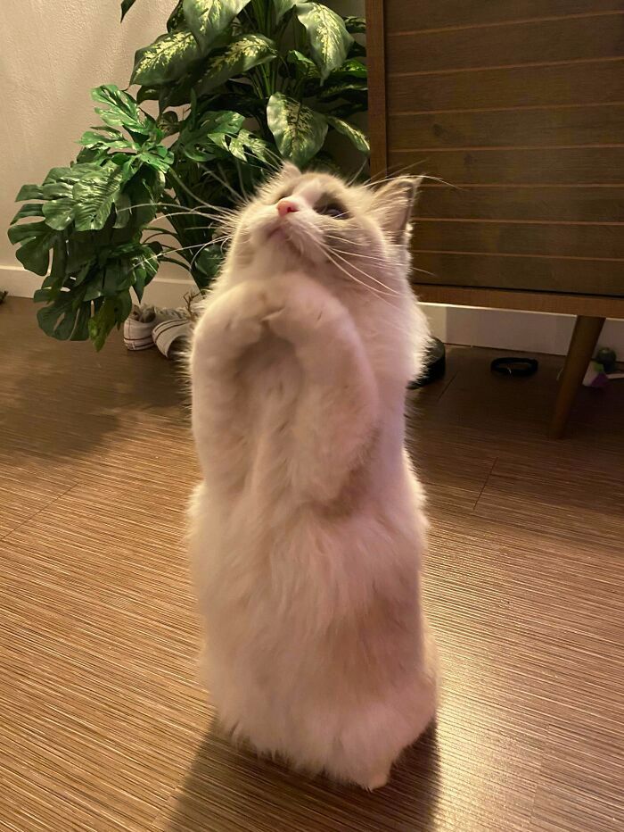 <a href=