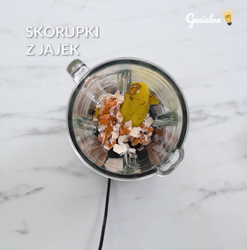 Jak dbać o kwiaty żeby pięknie rosły? Genialne.pl