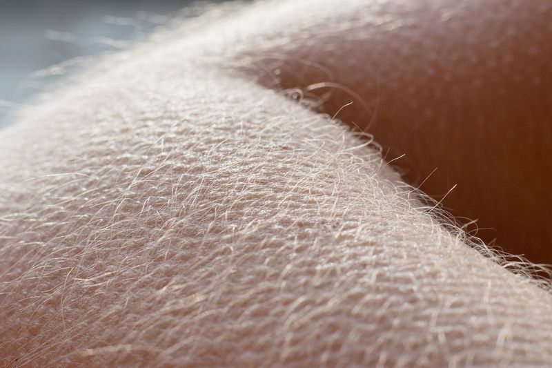 Gęsia skórka na ciele może być znakiem od Wszechświata. Fot. Gettyimages