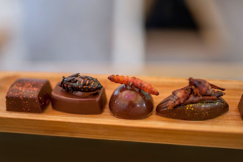 Insekty w czekoladzie nie są nowością. Fot. Gettyimages