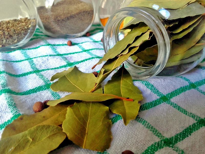 Palenie liścia laurowego sprawi, że poczujesz różnicę, Fot. Pixabay