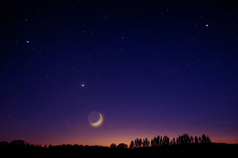 Rytuał Wenus na wierność trzeba wykonać 23 maja. Fot. Pixabay