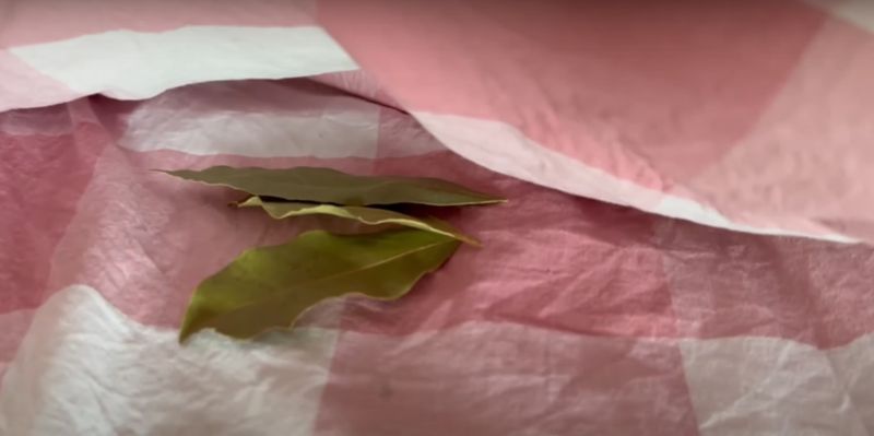 Domowe sposoby na bezsenność są skuteczne, fot. Youtube/Smart Fox