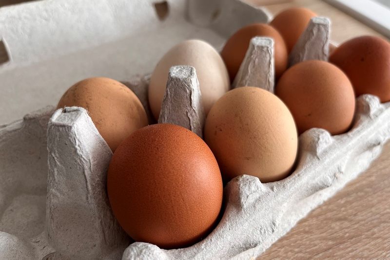 Jak przechowywać jajka? Fot. Genialne.pl