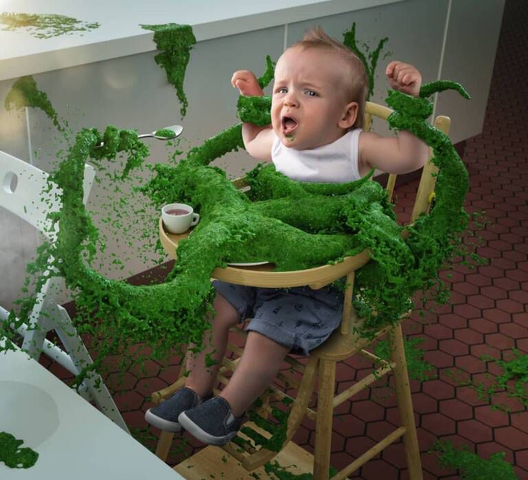 john_wilhelm_is_a_photoholic