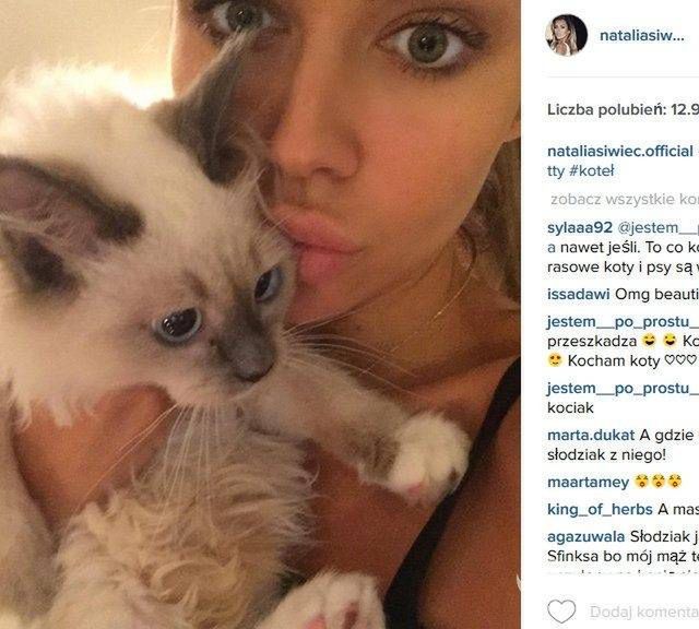 Natalia Siwiec odpowiada internautom dlaczego oddała kota