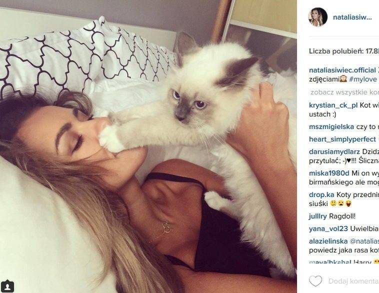Kot Natalii Siwiec ma konto na Instagramie