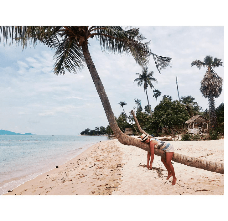 Anna Mucha spędza urlop wisząc na palmie – Instagram