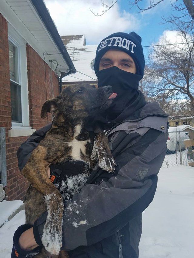Źródło: Detroit Pit Crew Dog Rescue / Facebook.com